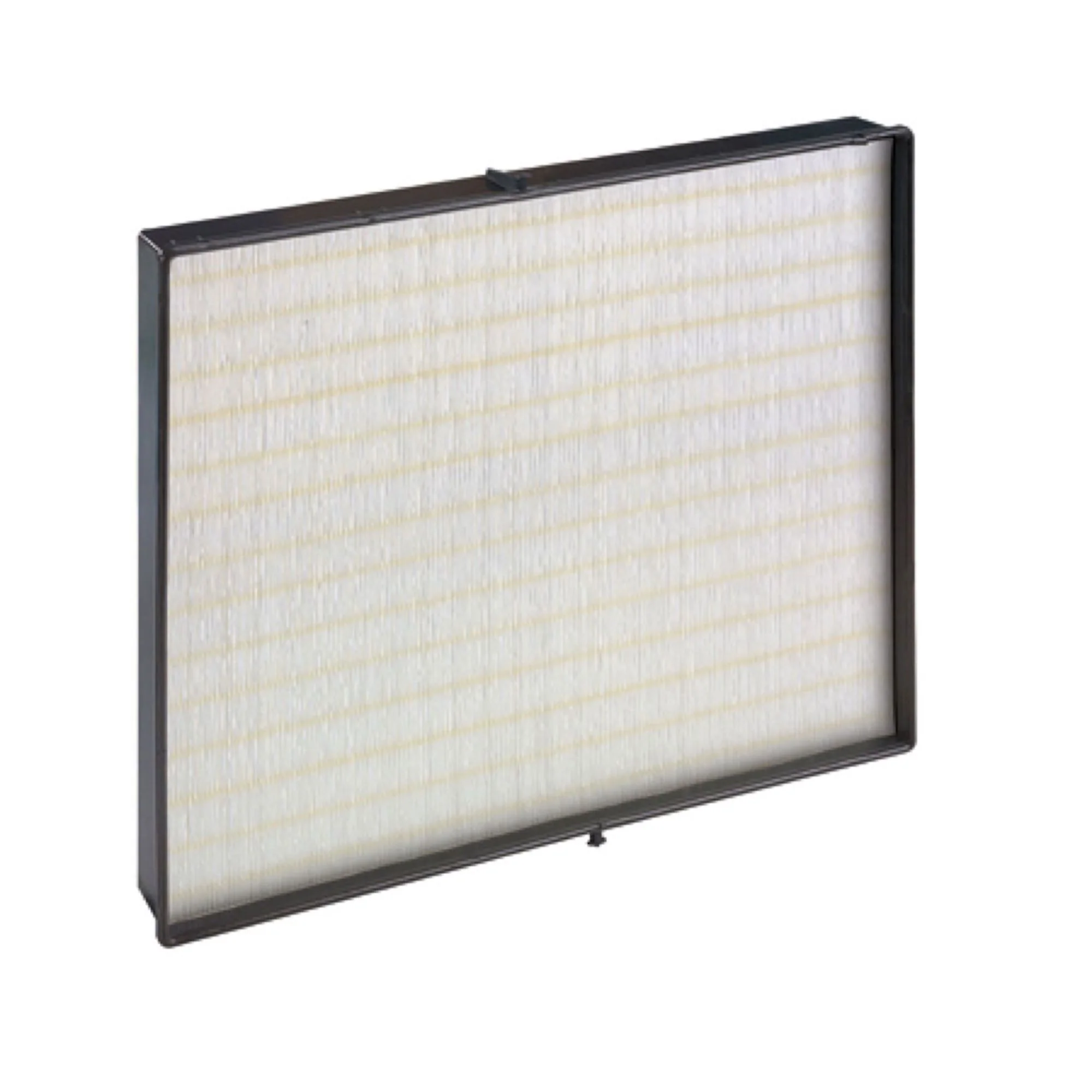 Filtre HEPA de remplacement
