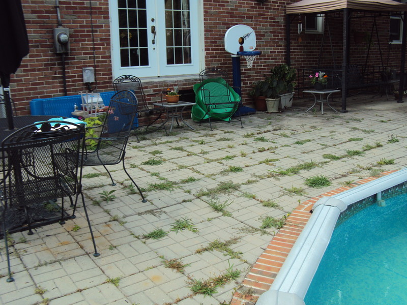 Patio résidentiel en bordure de piscine avant nettoyage et désherbage